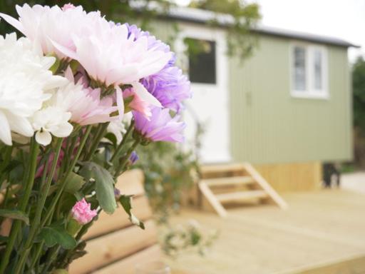 Wolstonbury Getaway Villa Hassocks Luaran gambar